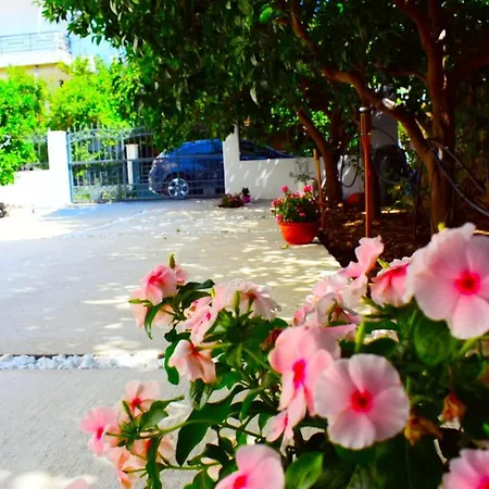 Apartment Anemoss Saranti *